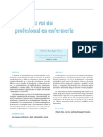 Rol Del Profesional en Enfermeria