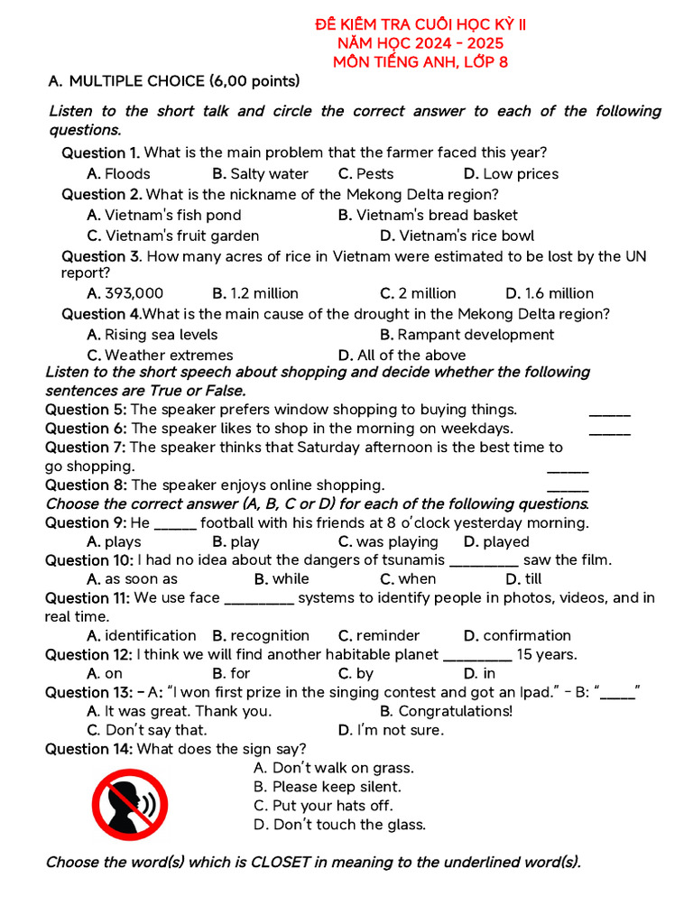 English Test for Grade 8 Students | PDF | Online Shopping
