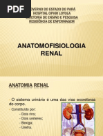 Anatomia Renal