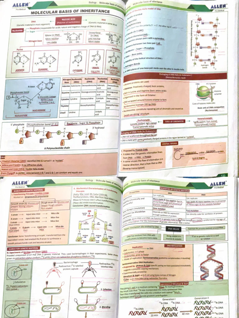 Mbi | PDF