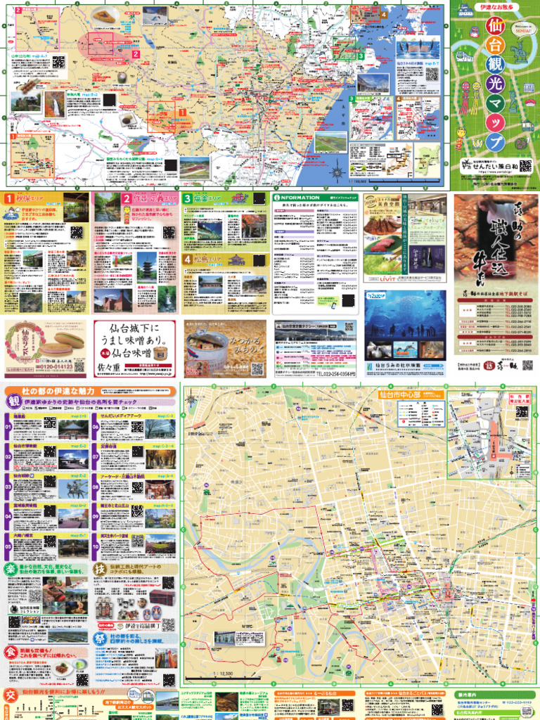 sendaiMAP 2021s | PDF