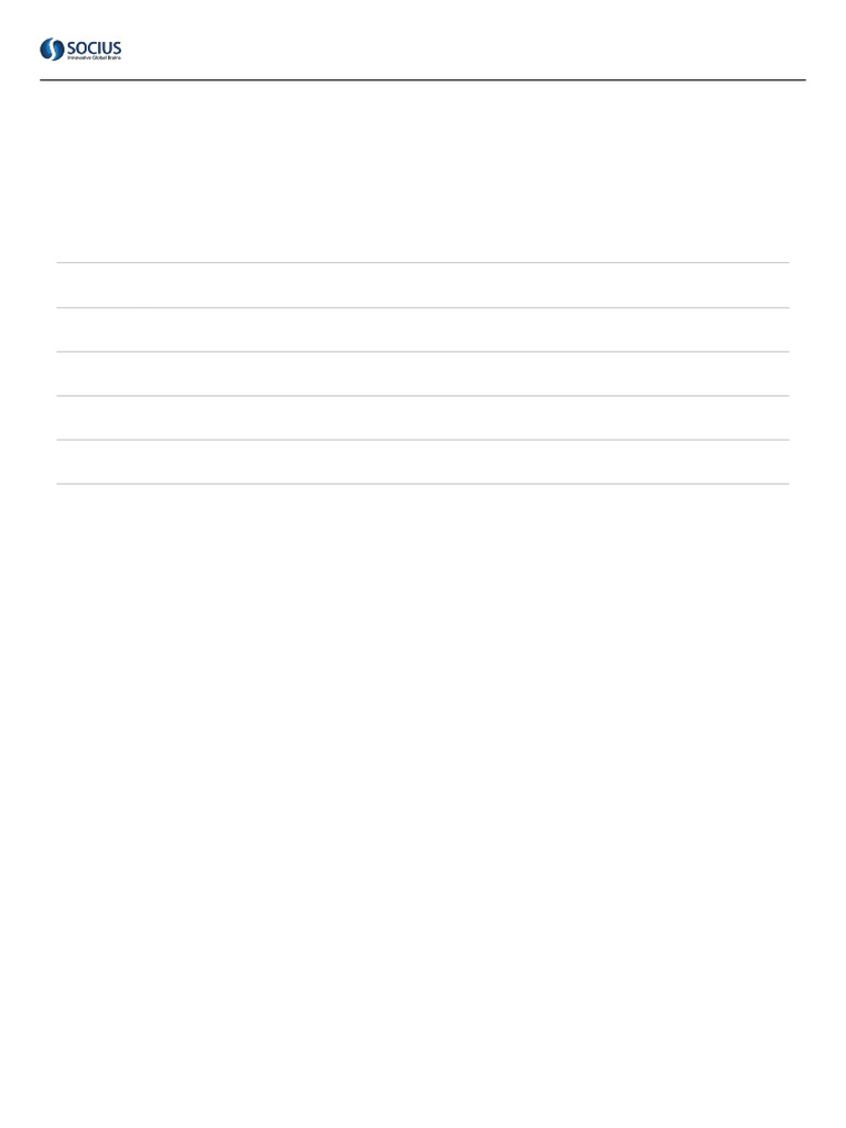 Socius Timesheet Entries Overview | PDF