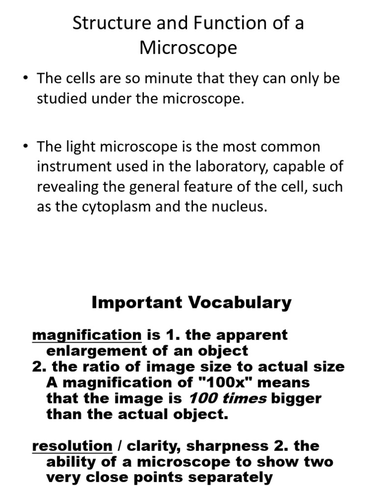 Microscope Structure and Function Guide | PDF | Microscope | Electron ...