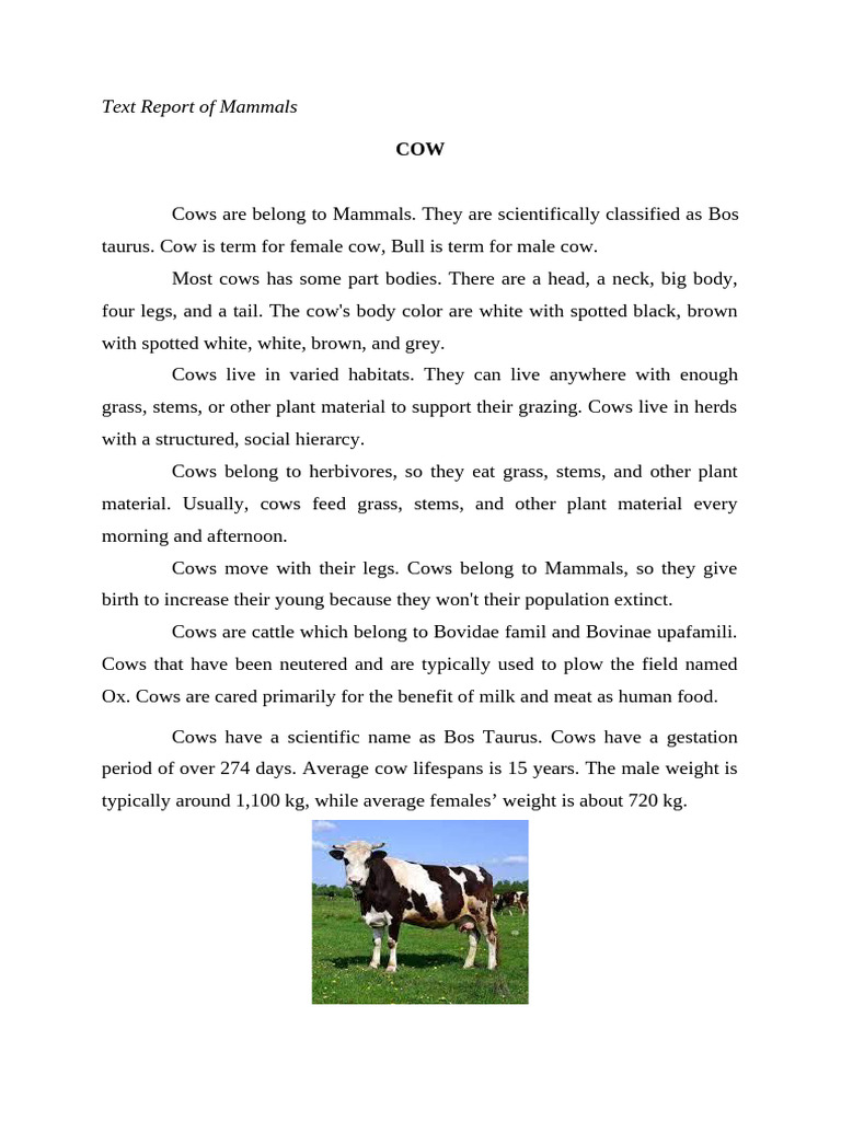 Overview of Cows as Mammals | PDF