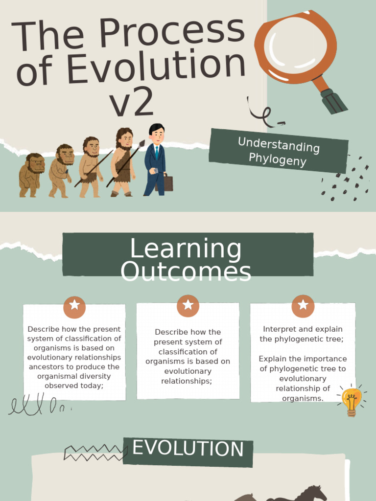 Phylogeny and Evolutionary Processes | PDF | Phylogenetics ...