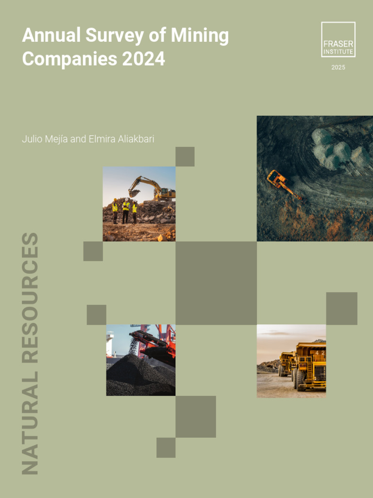 2024 Mining Investment Survey Results | PDF | Economies