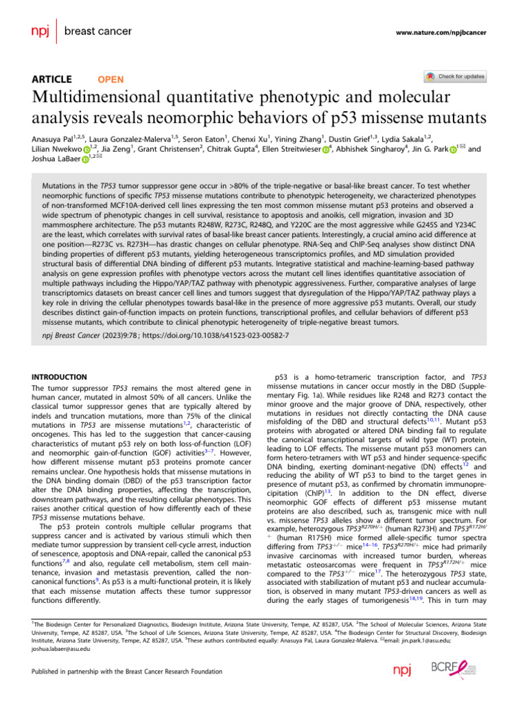 s41523-023-00582-7 | PDF | P53 | Mutation