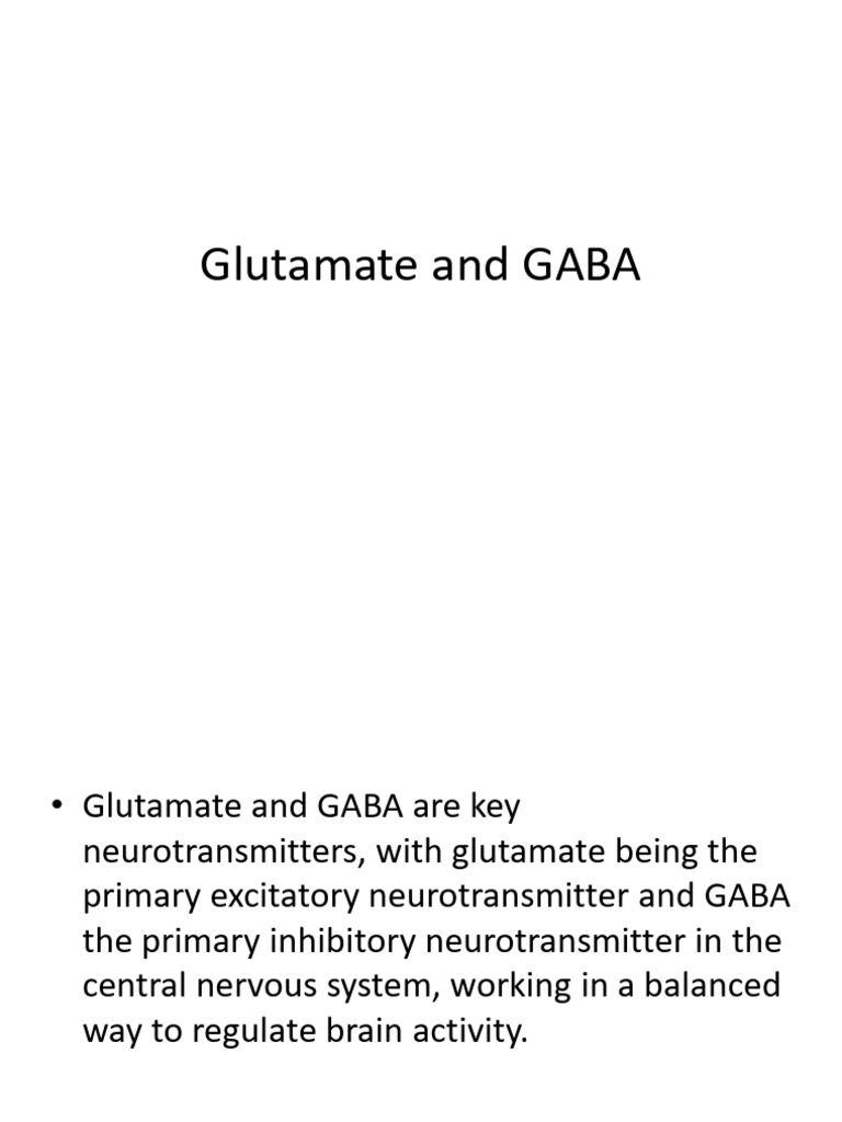 Balancing GABA and Glutamate Levels | PDF | Neurotransmitter | Neuron