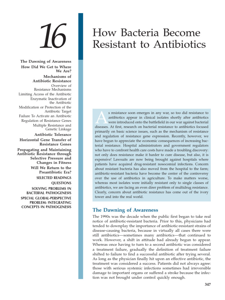 Understanding Antibiotic Resistance Mechanisms | PDF | Methicillin ...
