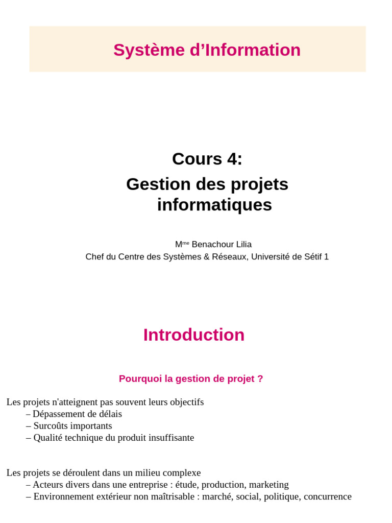 Gestion de projets informatiques efficace | PDF