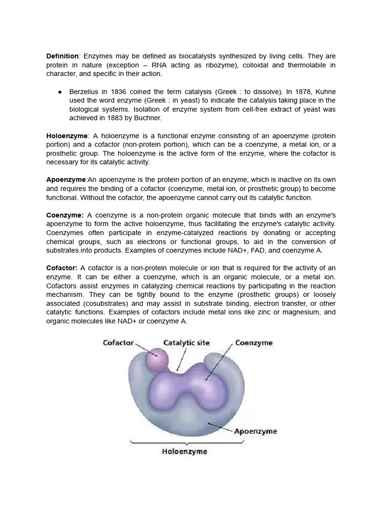 Enzyme Functions and Classifications Guide | PDF | Enzyme | Cofactor ...