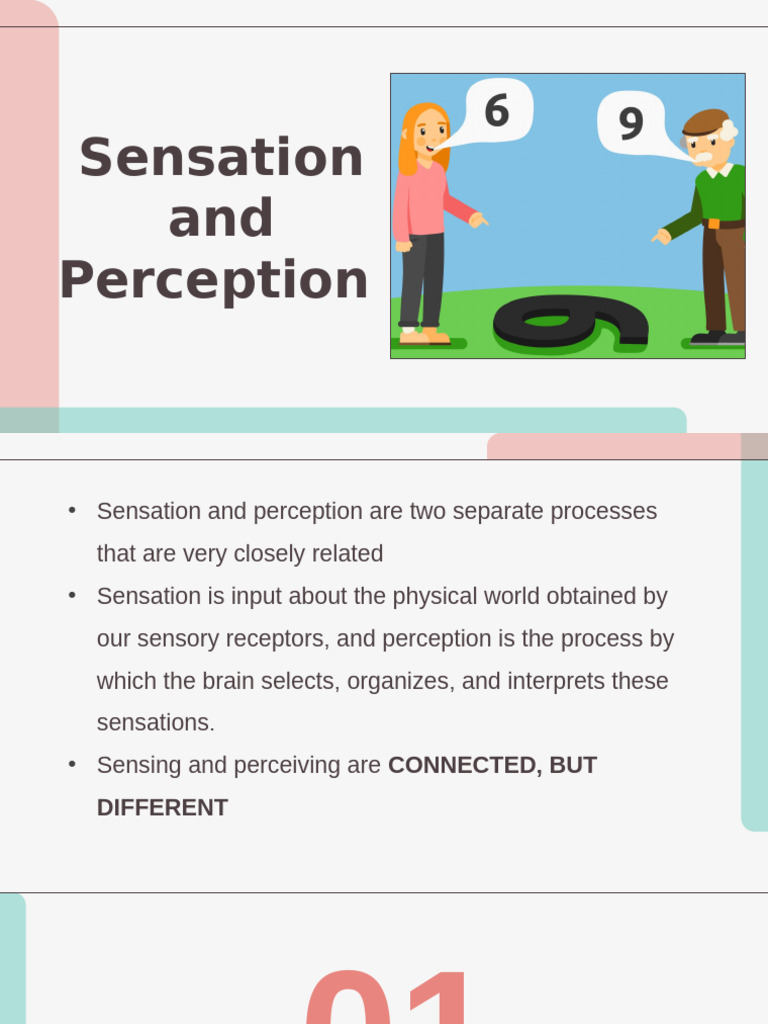 CHAPTER-3 | PDF | Senses | Auditory System