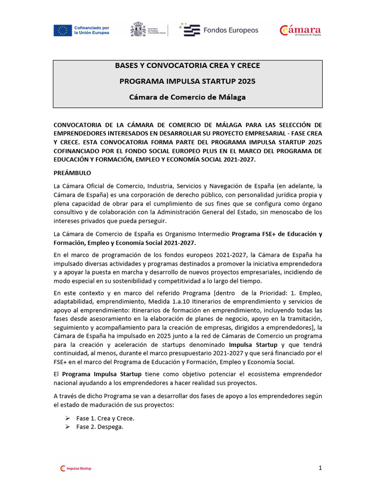 Convocatoria Impulsa Startup 2025 Málaga | PDF | Empresa de inicio ...