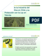 Situacion Industria Aceite Oliva en Chile