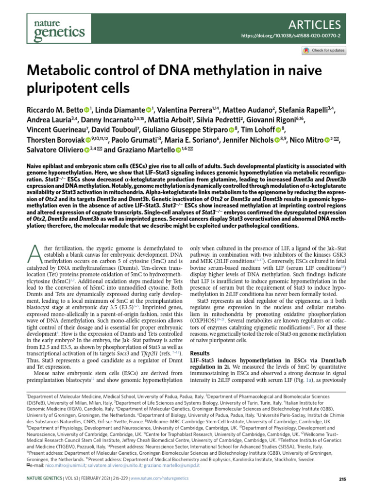Betto 2021 | PDF | Dna Methylation | Gene Expression