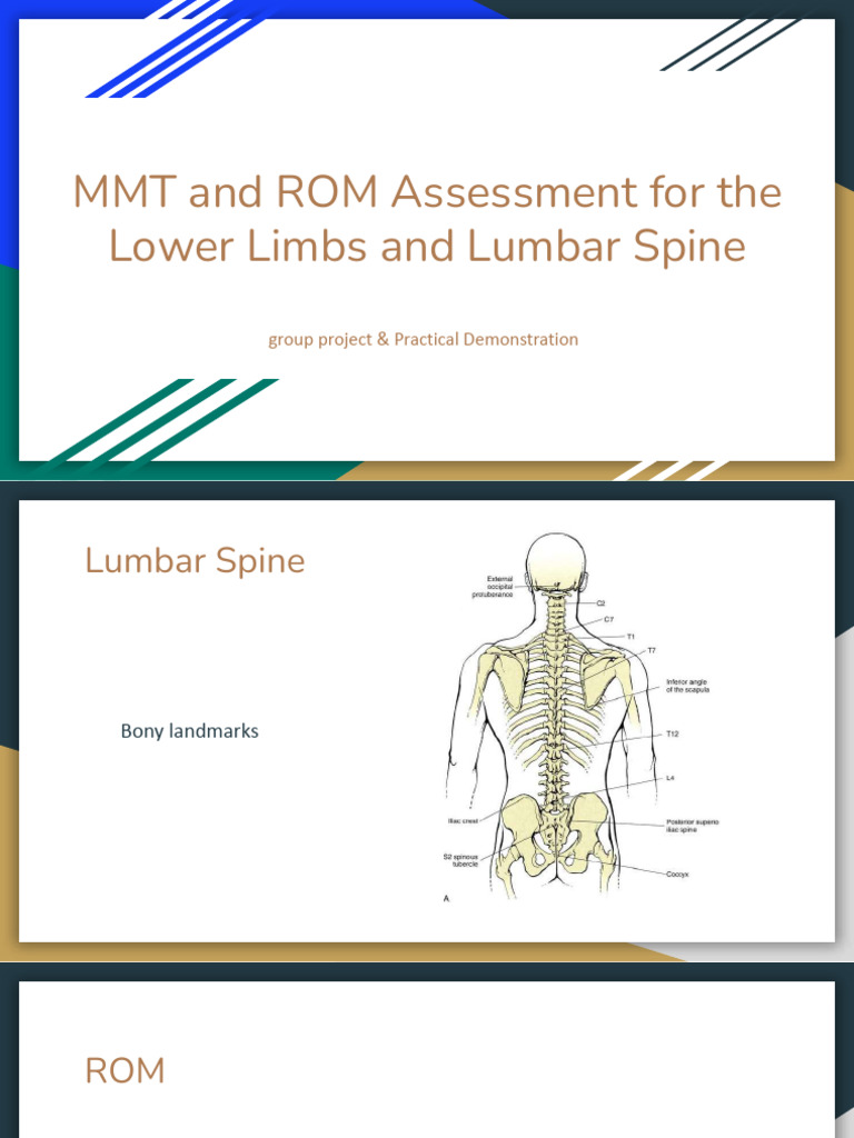 MMT and ROM Assessment for Lower Limbs | PDF | Anatomical Terms Of ...
