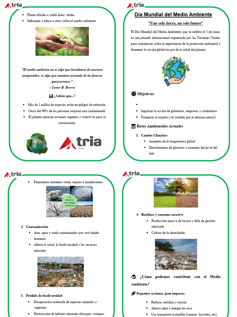 Dia Mundial Del Medio Ambiente | PDF | Entorno natural | Residuos