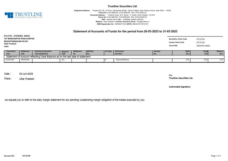 Trustline Securities Account Statement | PDF | Private Sector | Business