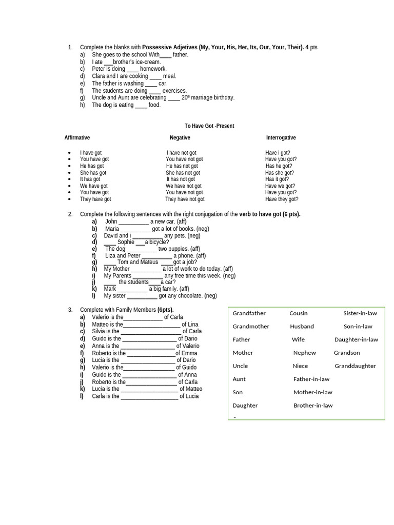 English Grammar Exercises for Beginners | PDF