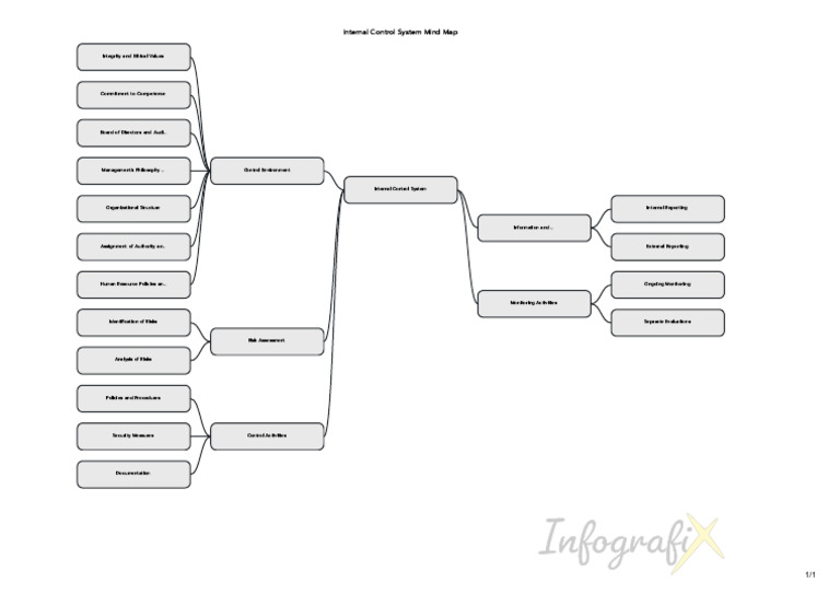 Internal Control System Overview | PDF