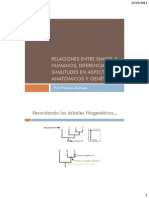 Relaciones Entre Simios y Humanos, Diferencias y Similitudes