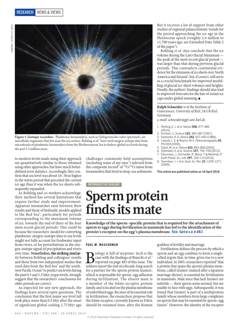 N20 - ARTÍCULO. Sperm Protein Find Its Mate - Compressed | PDF ...