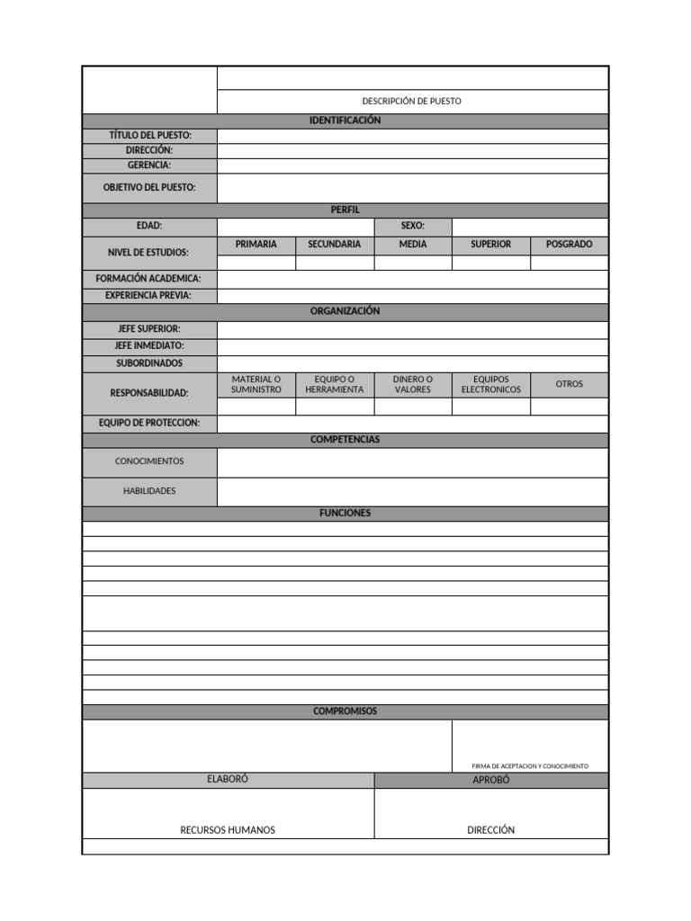 Descripción de Puesto | PDF
