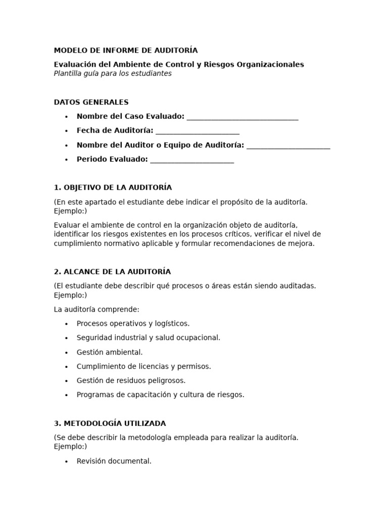 Informe de Auditoría: Control y Riesgos | PDF | Auditoría | Contralor