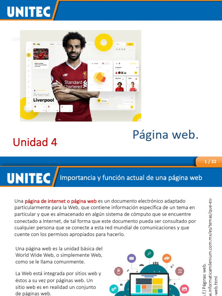 Importancia y Tipos de Páginas Web | PDF | Red mundial | Internet y web