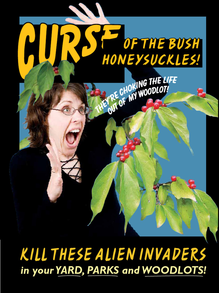 Control Invasive Bush Honeysuckles | PDF | Shrub | Herbicide