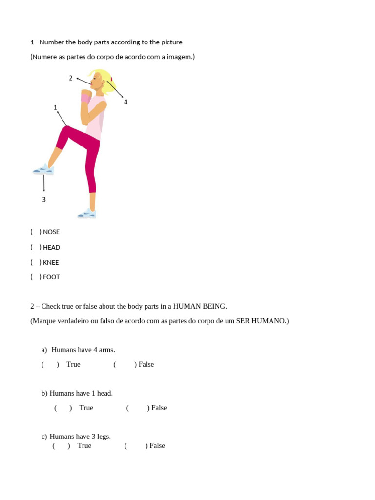 Body Parts and Professions Exercises | PDF