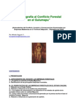 011 InformesEspeciales InformeSobreForestacionEnChile