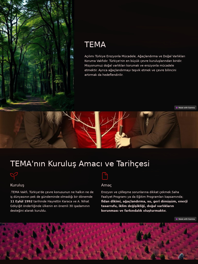 TEMA | PDF
