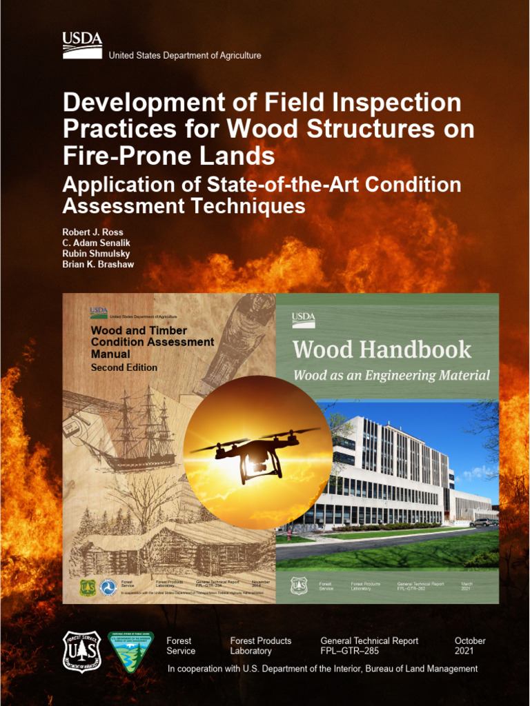 Wood Structure Inspection for Fire Safety | PDF | Wood | Waves