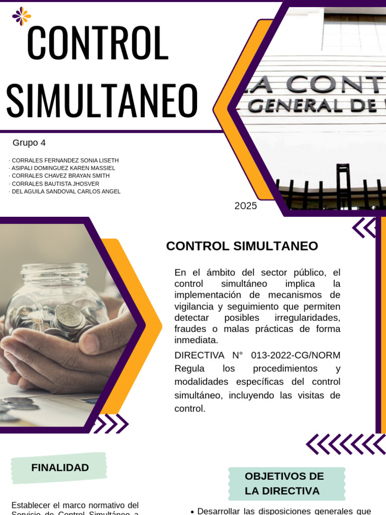Control Simultáneo en el Sector Público | PDF | Planificación ...