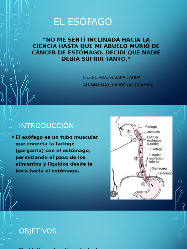 Esófago | PDF