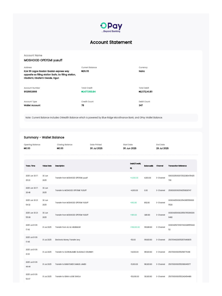 Wallet Account Statement Summary | PDF | International Finance | Payments