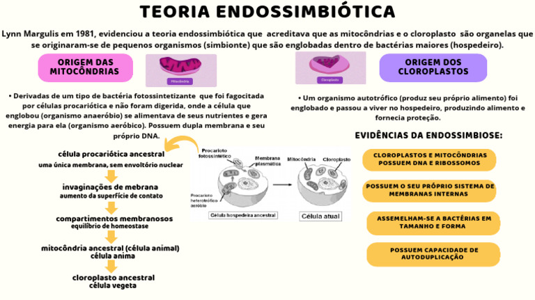 Teoria Endossimbiótica de Cloroplastos e Mitocôndrias | PDF
