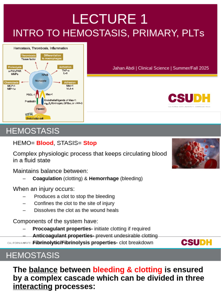 Hemostasis: Overview and Disorders | PDF | Coagulation | Platelet