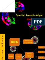 RNA