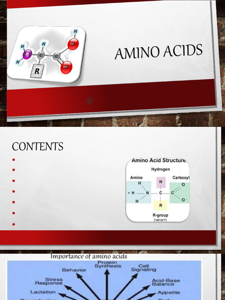 Overview of Amino Acids and Their Properties | PDF | Amino Acid | Chemistry