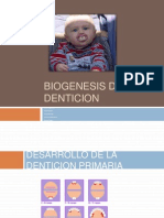 Biogénesis de la dentición primaria: desarrollo pre y postnatal