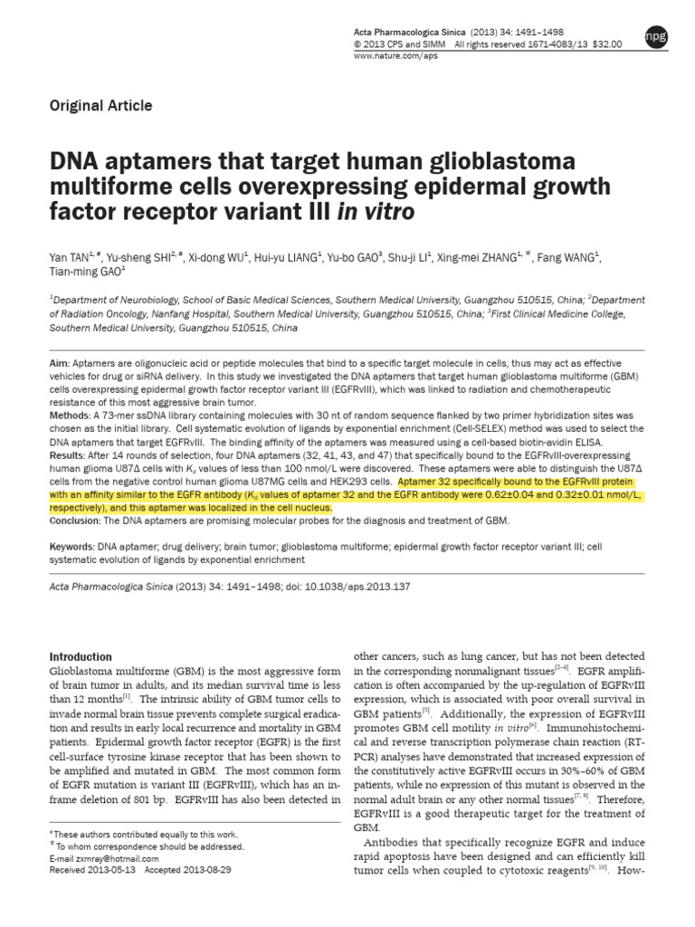 DNA Aptamers Targeting EGFRvIII in GBM | PDF | Epidermal Growth Factor ...