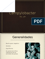 Infección Por Campylobacter y Giardia