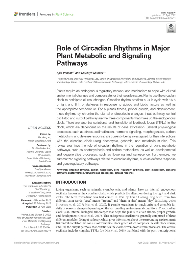 Circadian Rhythms in Plant Metabolism | PDF | Circadian Rhythm ...