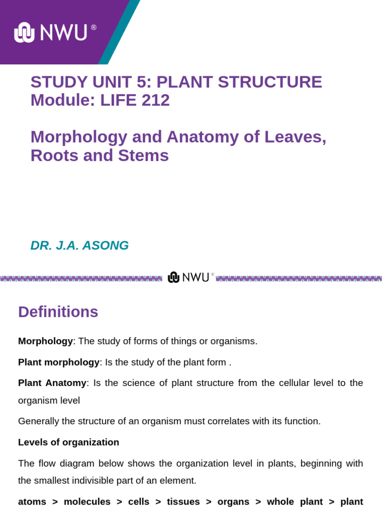 Plant Structure: Anatomy and Morphology | PDF | Plant Stem | Leaf