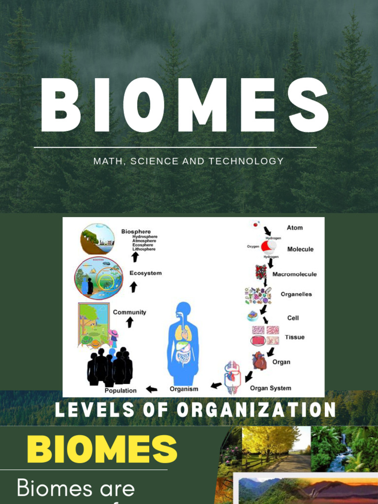Lesson-1.2-Biomes | PDF