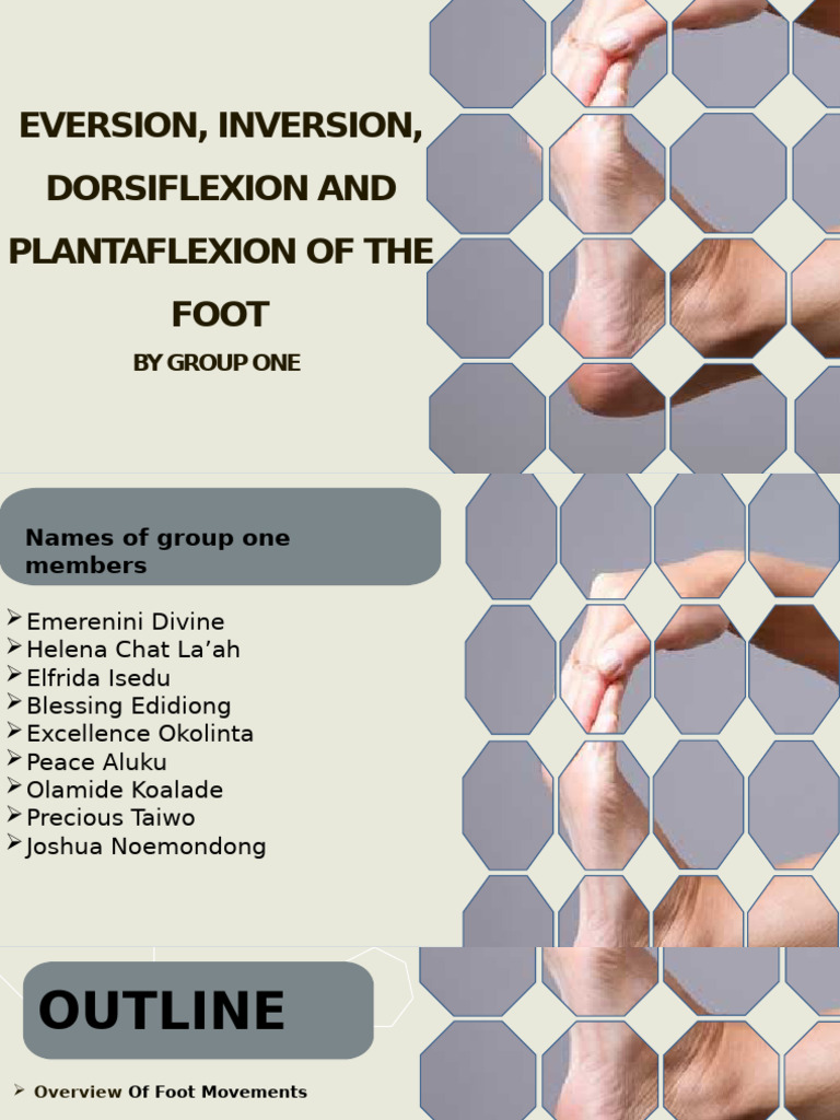 Foot Movements: Eversion, Inversion, and More | PDF | Foot | Human Leg