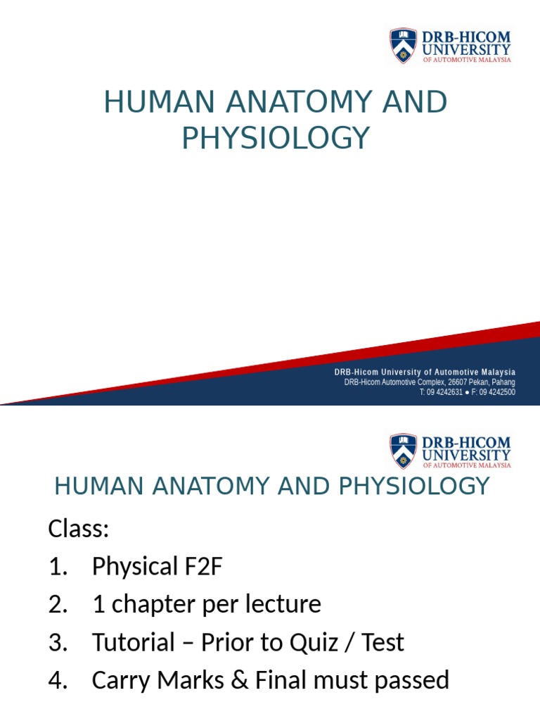 Human Anatomy and Physiology Overview | PDF | Anatomical Terms Of ...
