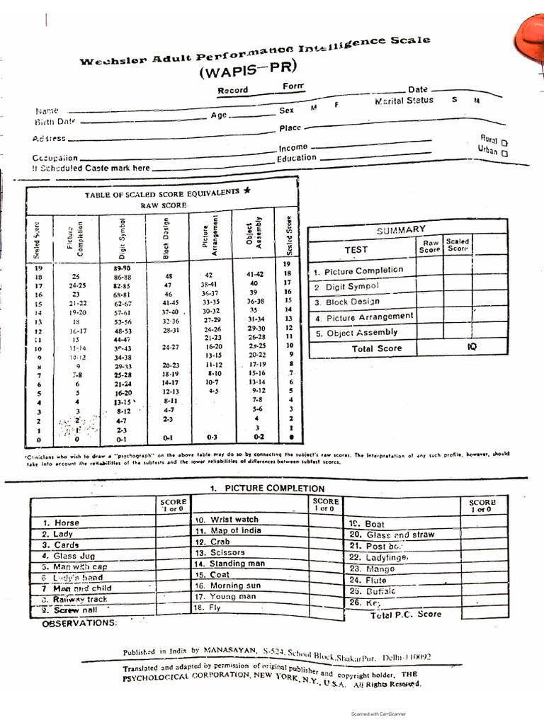 Wapis Performance | PDF